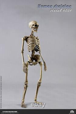 1/6 Coomodel BS011 Human Skeleton Metal Body Diecast Alloy 12 Action Figure
