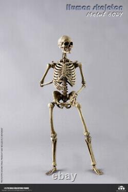 1/6 Coomodel BS011 Human Skeleton Metal Body Diecast Alloy 12 Action Figure