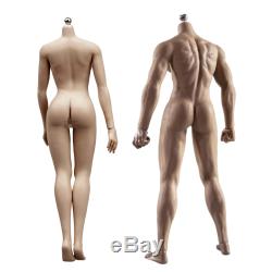 1/6 Male & Female Seamless Action Figure Model Fit Phicen TBLeague Hot Toys Head