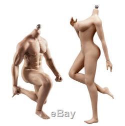 1/6 Male & Female Seamless Action Figure Model Fit Phicen TBLeague Hot Toys Head
