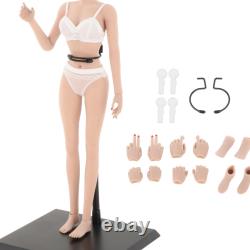 1/6 Scale Female Body Model No Head Super Flexible Joint Playset for Women