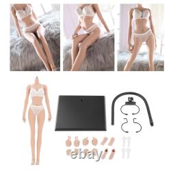 1/6 Scale Female Body Model No Head Super Flexible Joint Playset for Women