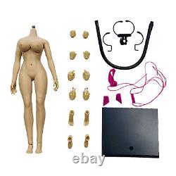 1/6 Scale Female Seamless Steel Skeleton Body Big Bust Clothes Normal Skin