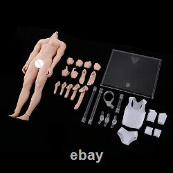 1/6 Scale Steel Skeleton Muscle Muscular Nude Male &Female Action Figures