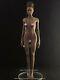 1/6 Silicon Seamless Female Figure Doll Chocolate M for Hottoys TBL US Seller