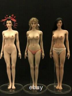 1/6 Silicon Seamless Female Figure Doll Pale L for Hottoys TBLeague US Seller