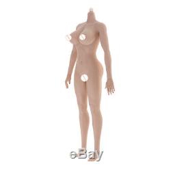 1/6 Super-Flexible Female Body Big Bust Figure for Phicen -New Wheat Skin