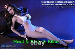 1/6 TBLeague Female Seamless Head&Body PLLB2014S09 Suntan/big bust Phicen Figure