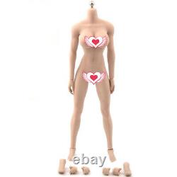 1/6th Sexy Female Doctor Nurse Head Sculpt TBLeague Large Breast Body 12 Figure