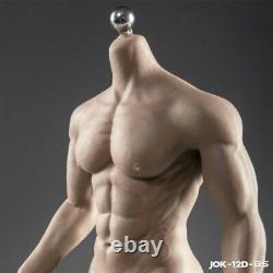 16 Action Figure Muscular Male & Big Bust Female Body fit Hot Toys Phicen Head