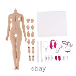 16 Female Body Europe Large Breast 12'' Action Figure Charming Girl Model