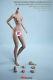 16 Phicen TBLeague Female Small Bust Flexible Suntan Action Figure Body Toy