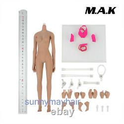 16 Scale Female Suntan Body Medium Breast Flexible Doll 12'' Figure Model