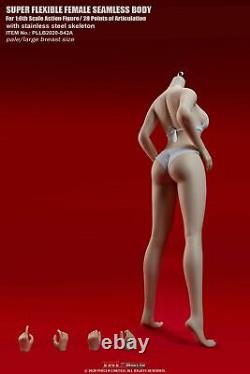 16 TBLeague Female Flexible Pale Skin Seamless Figure Body PLLB2020-S42A