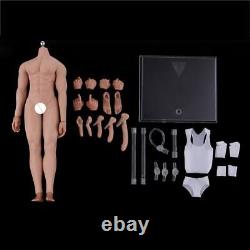2 Set 1/6 Male & Female Seamless Body fit 12 Hot Toys Phicen Figure Head Sculpt