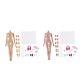 2 Set 1/6 Scale Action Figure Female Nude Body Model for Phicen CY CG Girls
