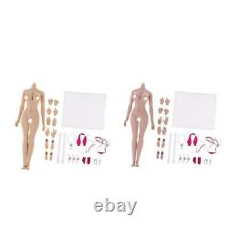 2 Set 1/6 Scale Female Action Figure Seamless Body Bundle Normal + Tan Skin