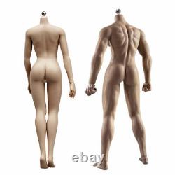 2Set 1/6 Male & Female Seamless Body fit Phicen TBLeague Figure Doll Head Sculpt