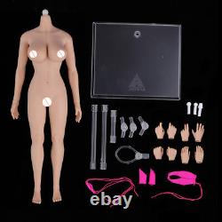 2x 1/6 Scale Super Female Body Figure Assembly Skeleton Normal Skin