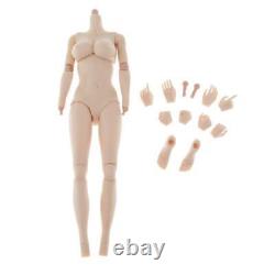 4 Pieces Action Figure Plastic Body 16 Scale Female Model with Hands Feet