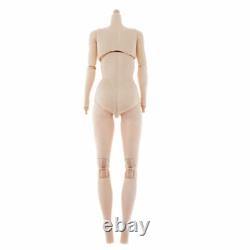 4x 12inch Action Figure Women Soldier Plastic Dolls Body Model with Hands Feet