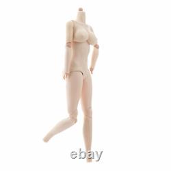 4x 12inch Action Figure Women Soldier Plastic Dolls Body Model with Hands Feet