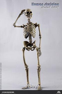COOMODEL 1/6 The Human Skeleton WithBrain Metal Body BS011 Poseable 12'' Figure