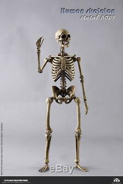 COOMODEL 1/6 The Human Skeleton WithBrain Metal Body BS011 Poseable 12'' Figure