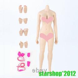 European Girl Body1/6 Seamless Big Bust Flexible Figure Pale Skin Female Doll