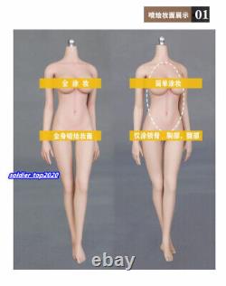 LDDOLL 27S 1/6 Pink Skin Red Small Breast Flexible Body Fit Female OB Head