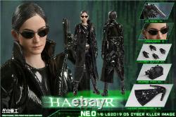 LSmodel 1/6 1/6 Cyber Killer Trinity The Female Hacker Action Figure LS2019-05