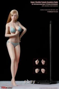 TBLeague 1/6 Female Medium Breast Pale Skin Model PHMB2019-S34 12 Figure Body