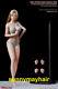 TBLeague 1/6 PHMB2019-S34 Pale Seamless Female Figure Body & Head & Bikini Set