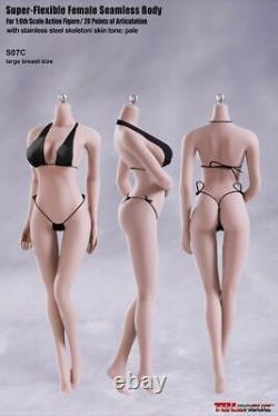 TBLeague 16 Pale Skin Stainless Steel Female Figure S07C Flexible Girl Body Toy
