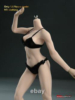 TBLeague S22A 1/6 Seamless Pale Skin Medium Breast female Figure Body Model Toy